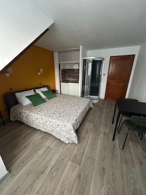 Double Room with Queen Size Bed, Shower and Kitchenette | Iron/ironing board, free WiFi - Les Bords de la Lizaine (Hericourt)