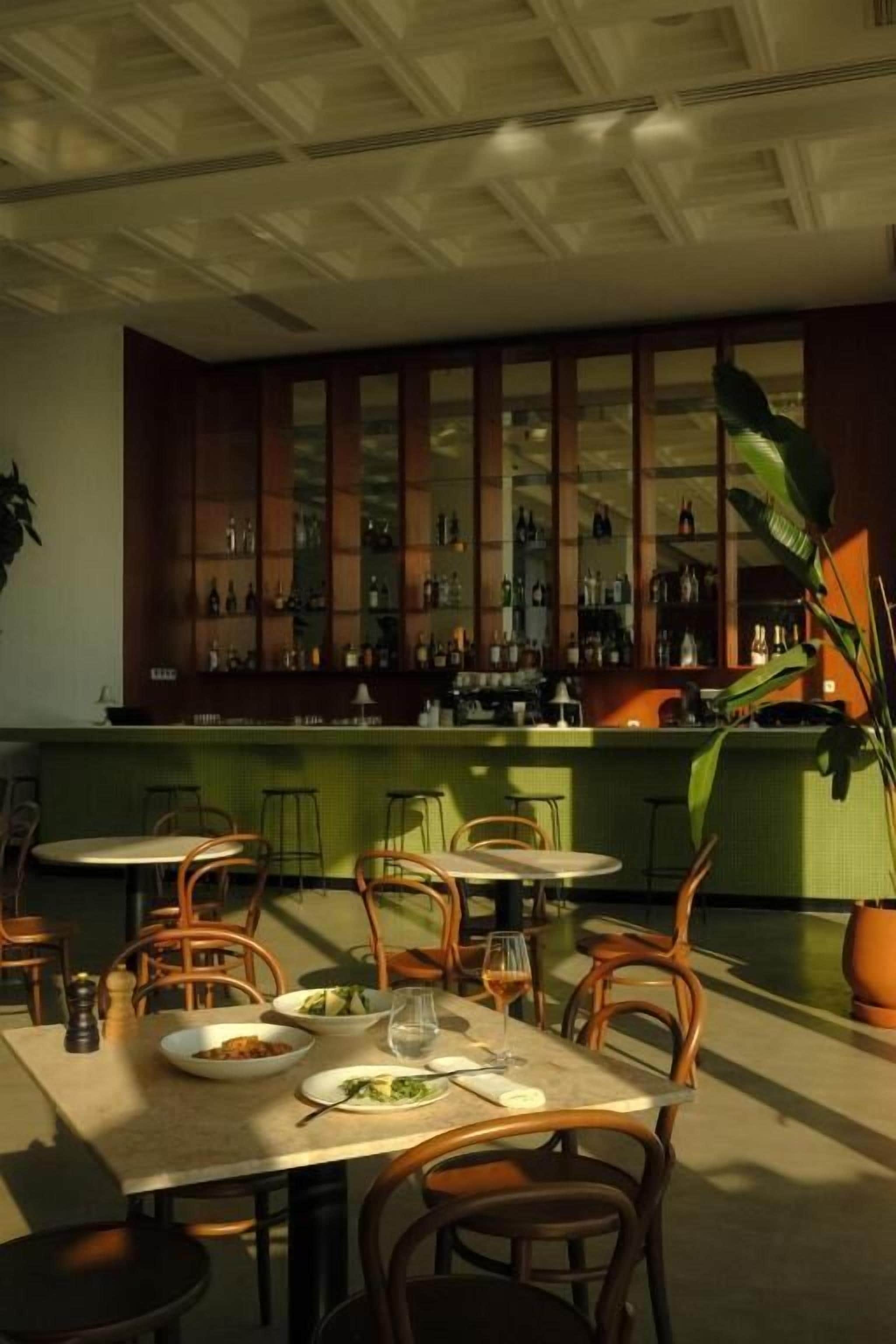 A restaurant with multiple tables and chairs, a bar area with shelves of bottles, and a large potted plant.