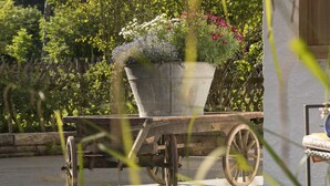 A garden cart with a flower pot on a paved surface, surrounded by greenery. - Apartment in Grainau am Badersee (Grainau)