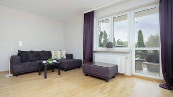 Fernseher, Arbeitsbereiche