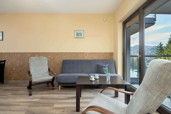 Cozy living area with armchairs and large windows overlooking the mountains.