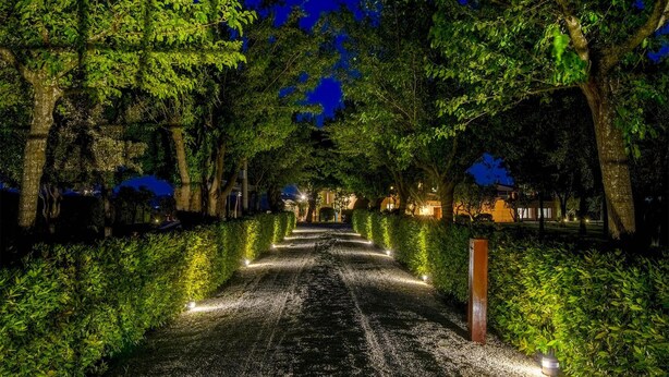 Un chemin nocturne bordé d’arbres et éclairé par des lampes au sol.