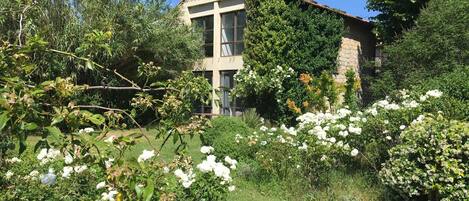 House | 5 bedrooms, Internet