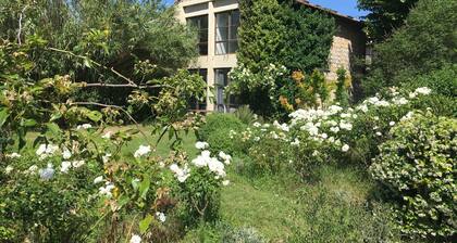 Villa Vilo Your Paradise in the Heart of Alpilles