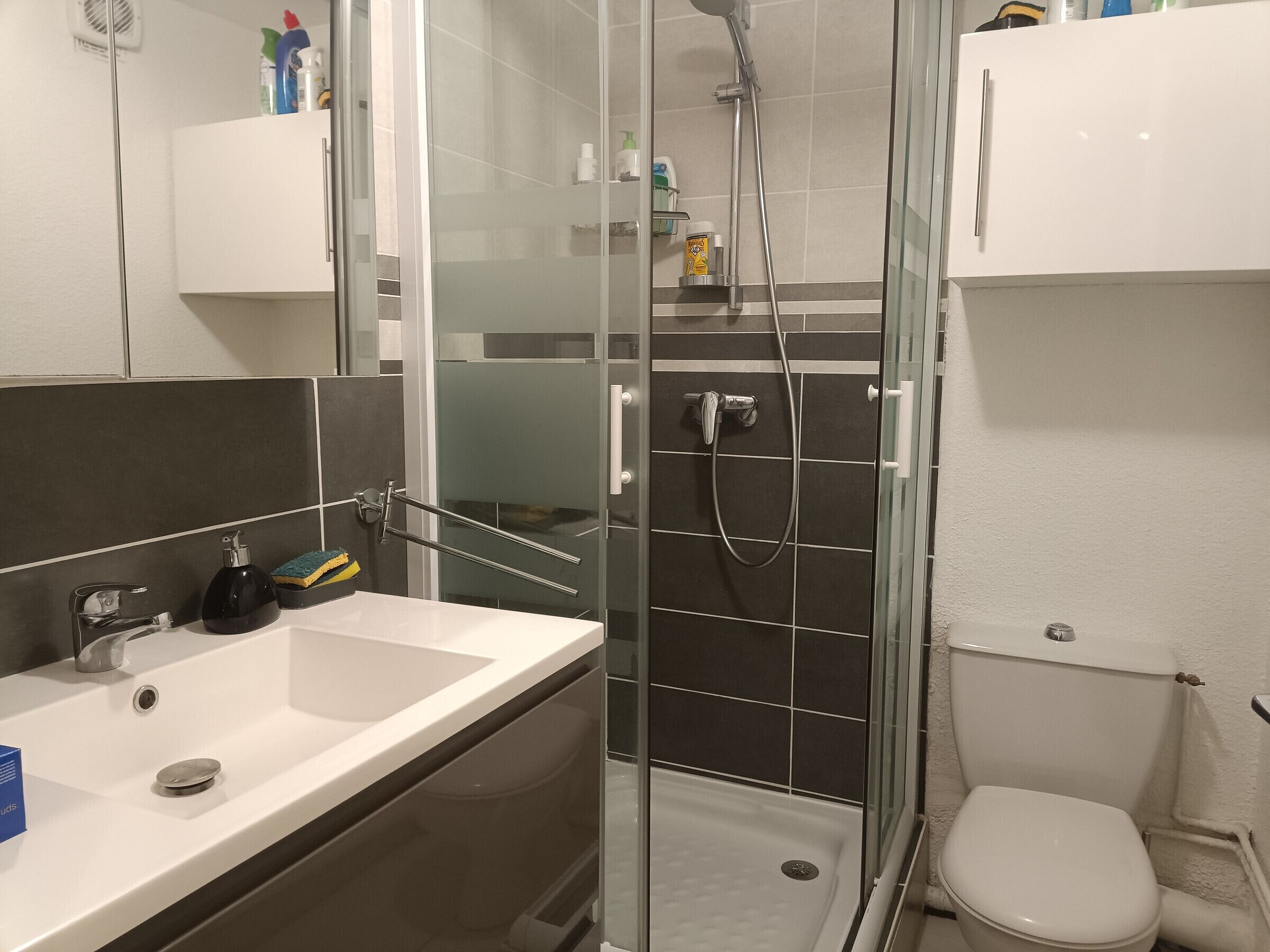 A modern bathroom with a glass-enclosed shower, a white sink, and a toilet.