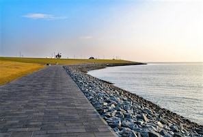 Un chemin pavé longe une zone côtière caractérisée par une rive rocheuse et des bâtiments situés au loin.