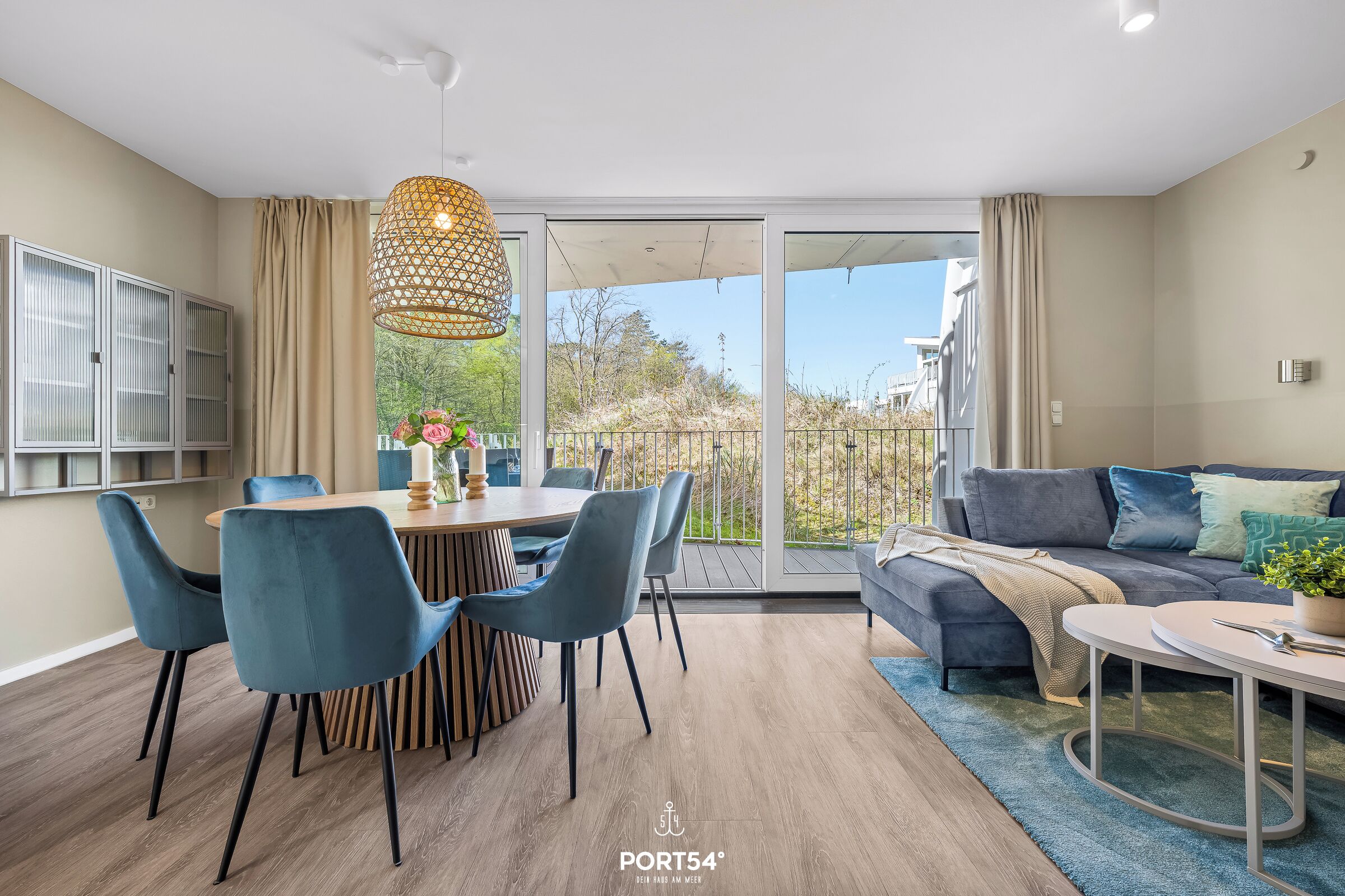 TV, fireplace, DVD player, books