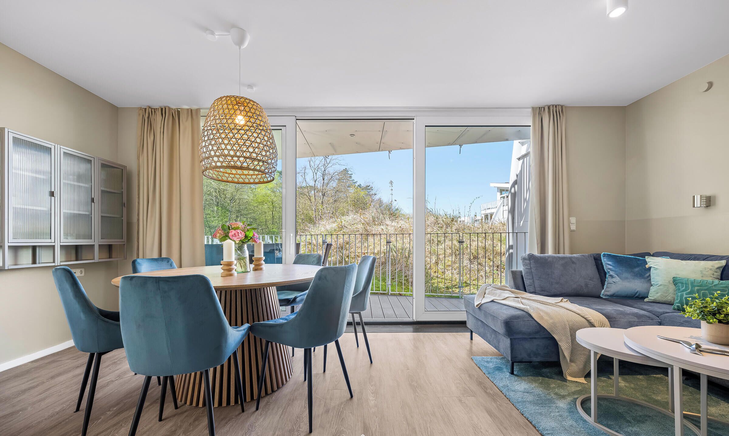 TV, fireplace, DVD player, books