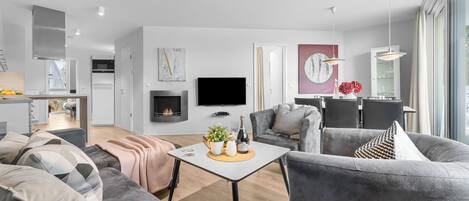 Télévision, cheminée, lecteur de DVD, chaßne hi-fi