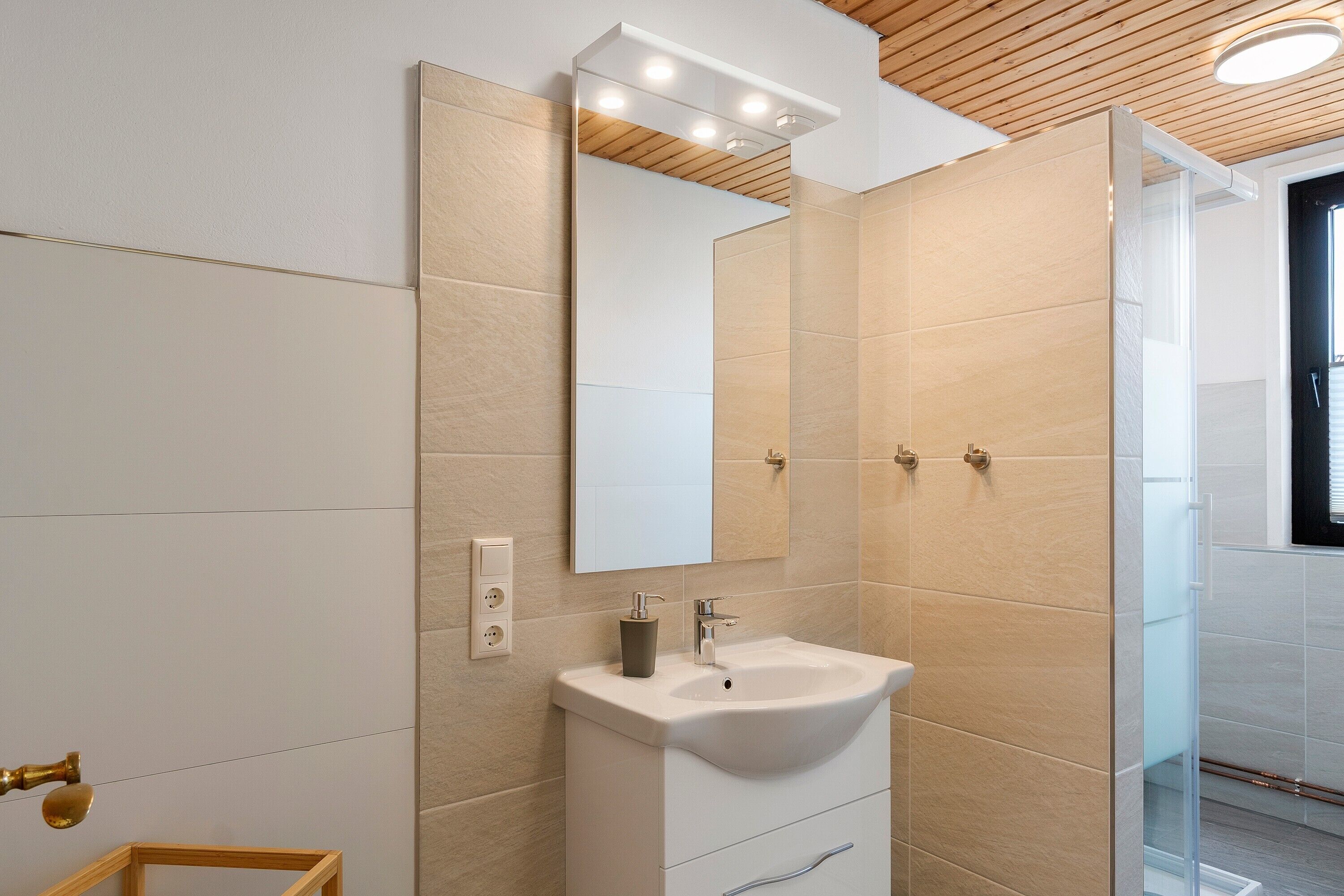 Shower, hair dryer, towels