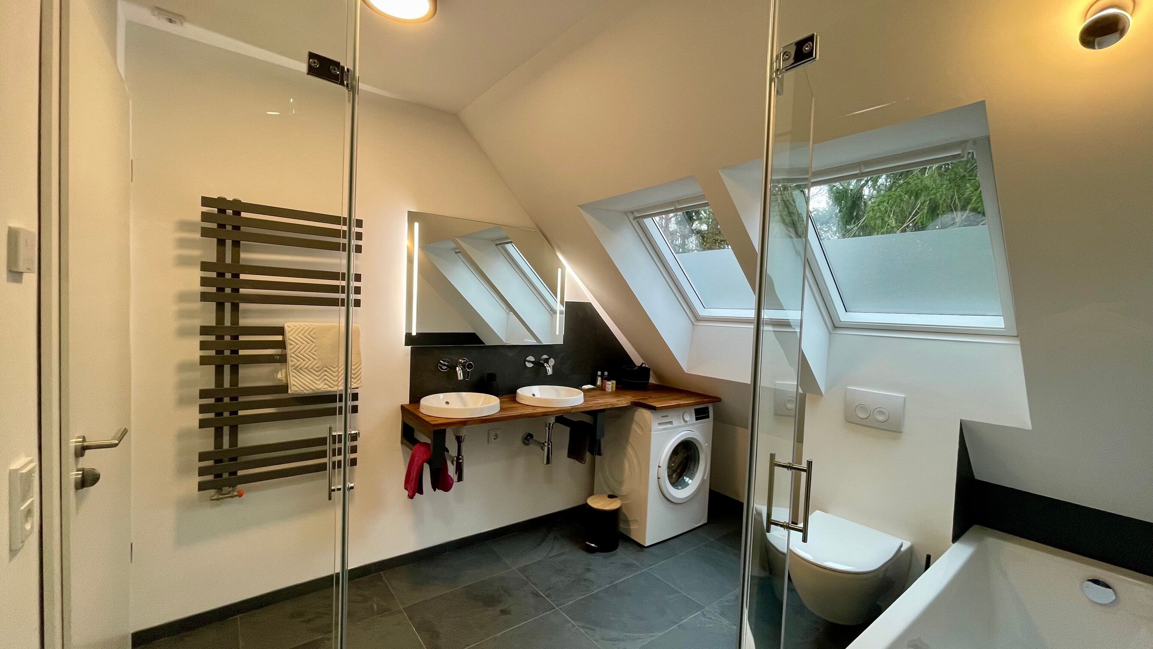 Shower, hair dryer, towels