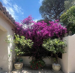 Property grounds - Luxe Villa bij St. Tropez: Zeezicht, Privé Jacuzzi & Free Fatbikes (Cogolin)