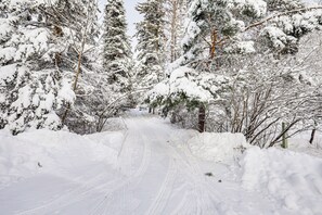 Sisätilat