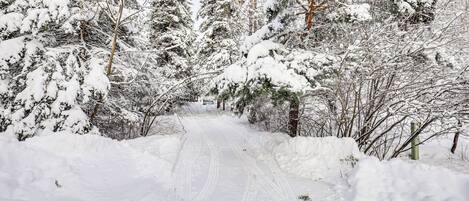 A snow-covered forest path with trees on both sides.