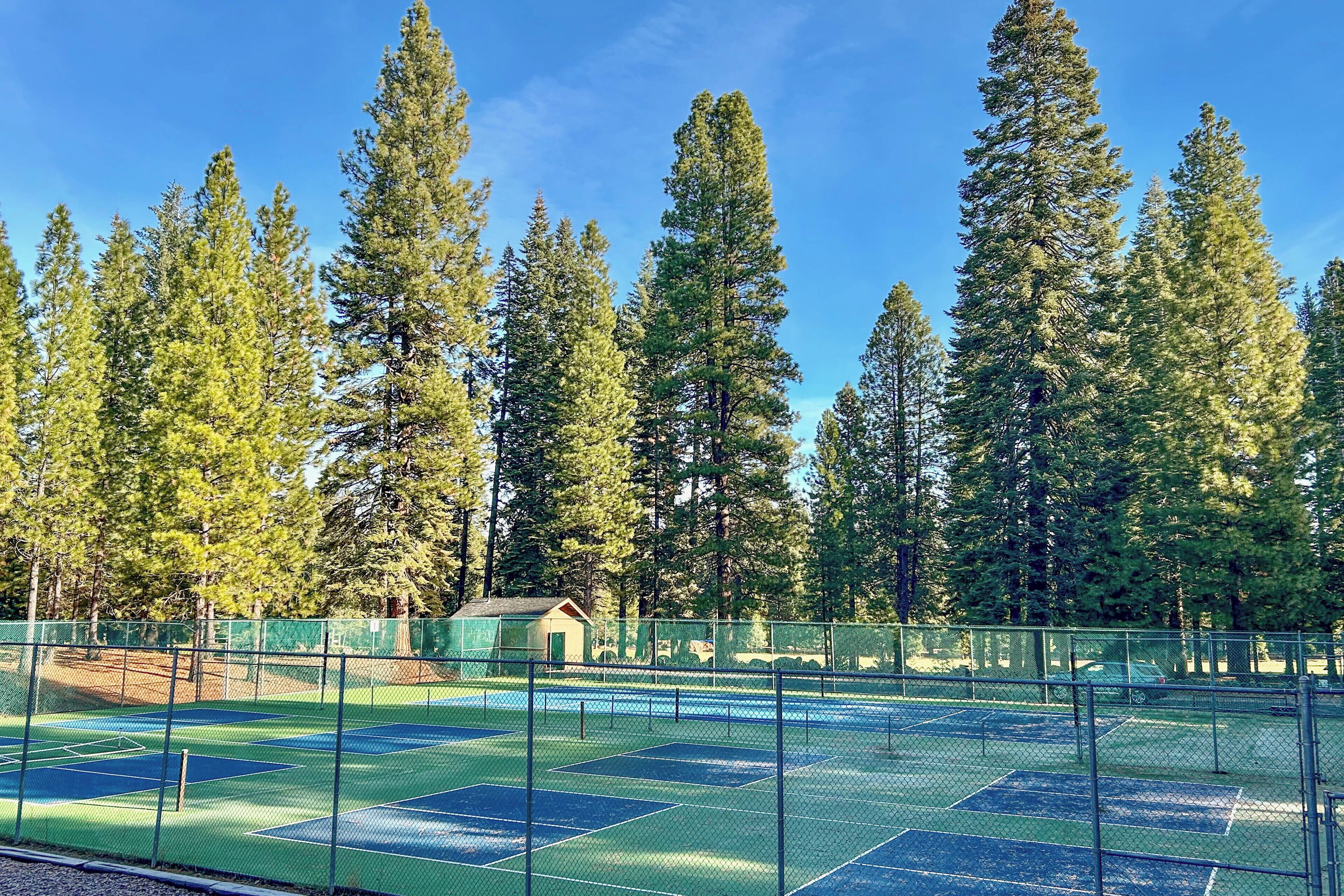 Una cancha de tenis rodeada de árboles altos y un pequeño edificio.