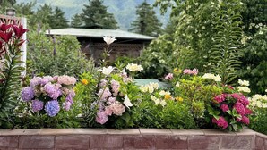 Ein Garten mit vielfältigen Blumen und Bergblick.