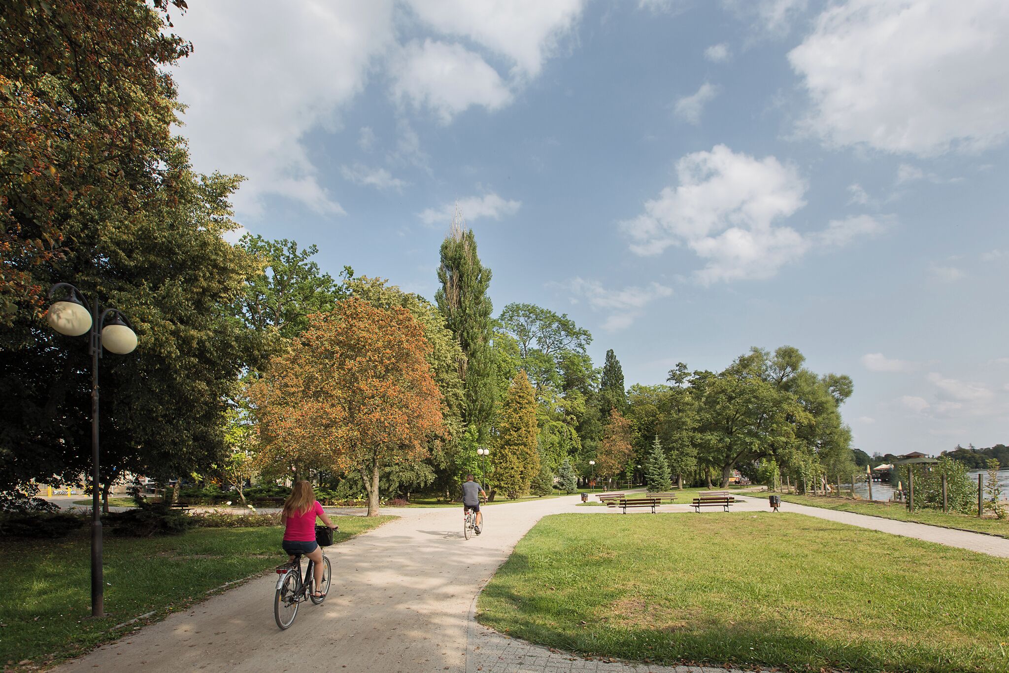 A park path with trees and benches.