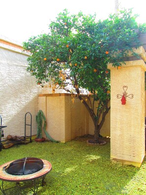 Property grounds - Color House - AZ Home with Fenced Yard (Mesa)