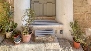 Une entrée d’immeuble avec une porte à deux battants, des plantes en pot et une enseigne au-dessus de la porte.