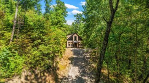 Exterior - 2 Kings • Hot Tub • Fire Pit • Arcade Fun (Sevierville)