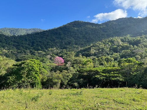 Porangaba Reserve / Excl House in Private Natural Reserve / Atlantic Forest