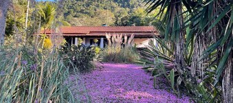 Porangaba Reserve / Excl House in Private Natural Reserve / Atlantic Forest