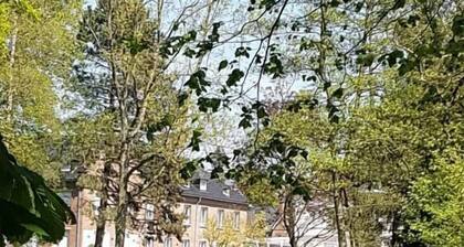 Maison des Augustines
