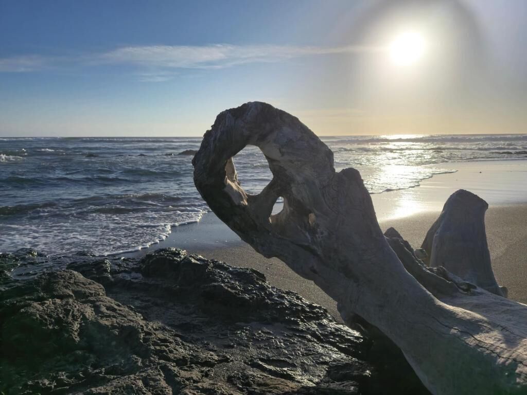 Kamar, 1 kamar tidur, Boleh Merokok | Pantai