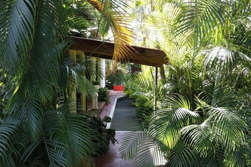 Room-hotel Hibiscus Playa Junquillal