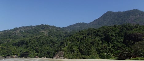 Apartamento | 2 quartos