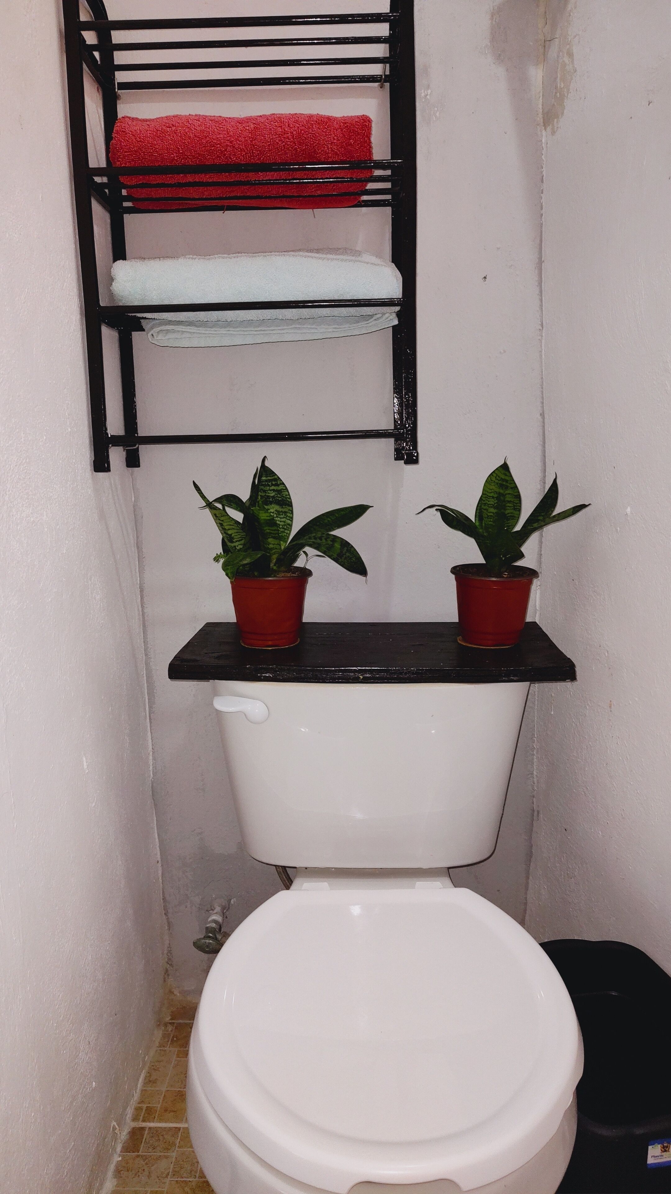 提供毛巾、番梘、廁紙