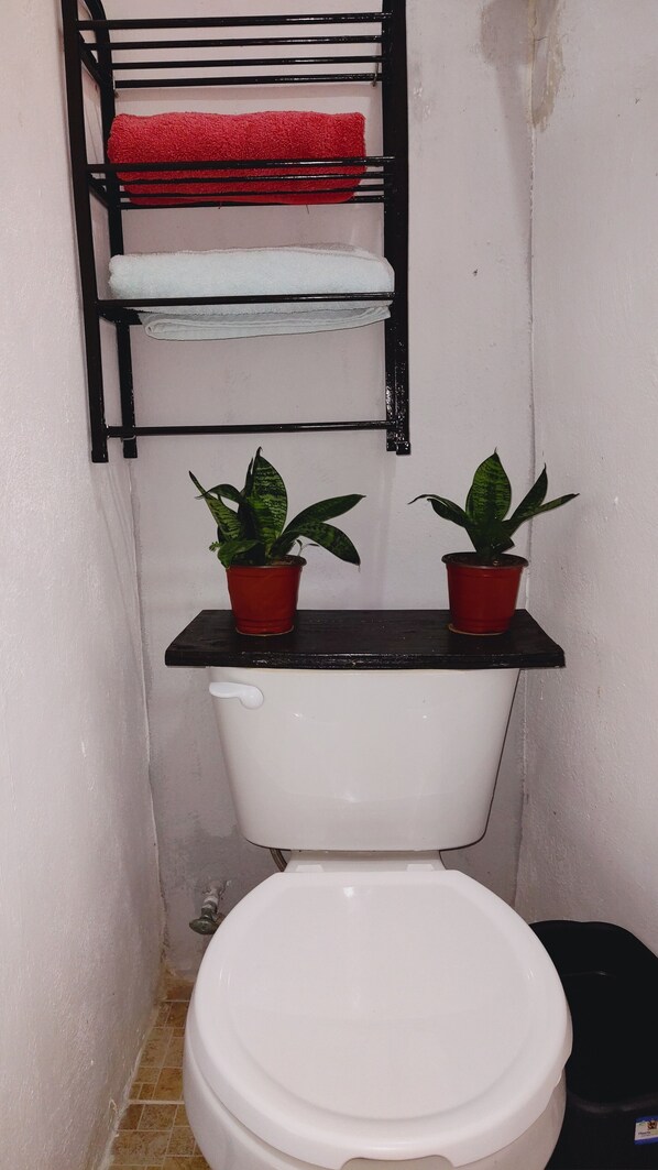 Towels, soap, shampoo, toilet paper - Depa  Tren Maya y Facultades UAC Ing /Qfb Periférico  Pet Friendly  CAMPECHE (San Francisco de Campeche)