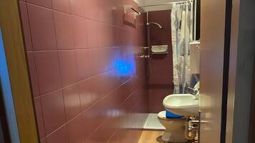 A narrow bathroom with a wooden floor, a toilet, and a shower area.