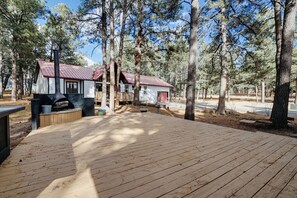 Terrace/patio - Guest house escape in the trees (Angel Fire)