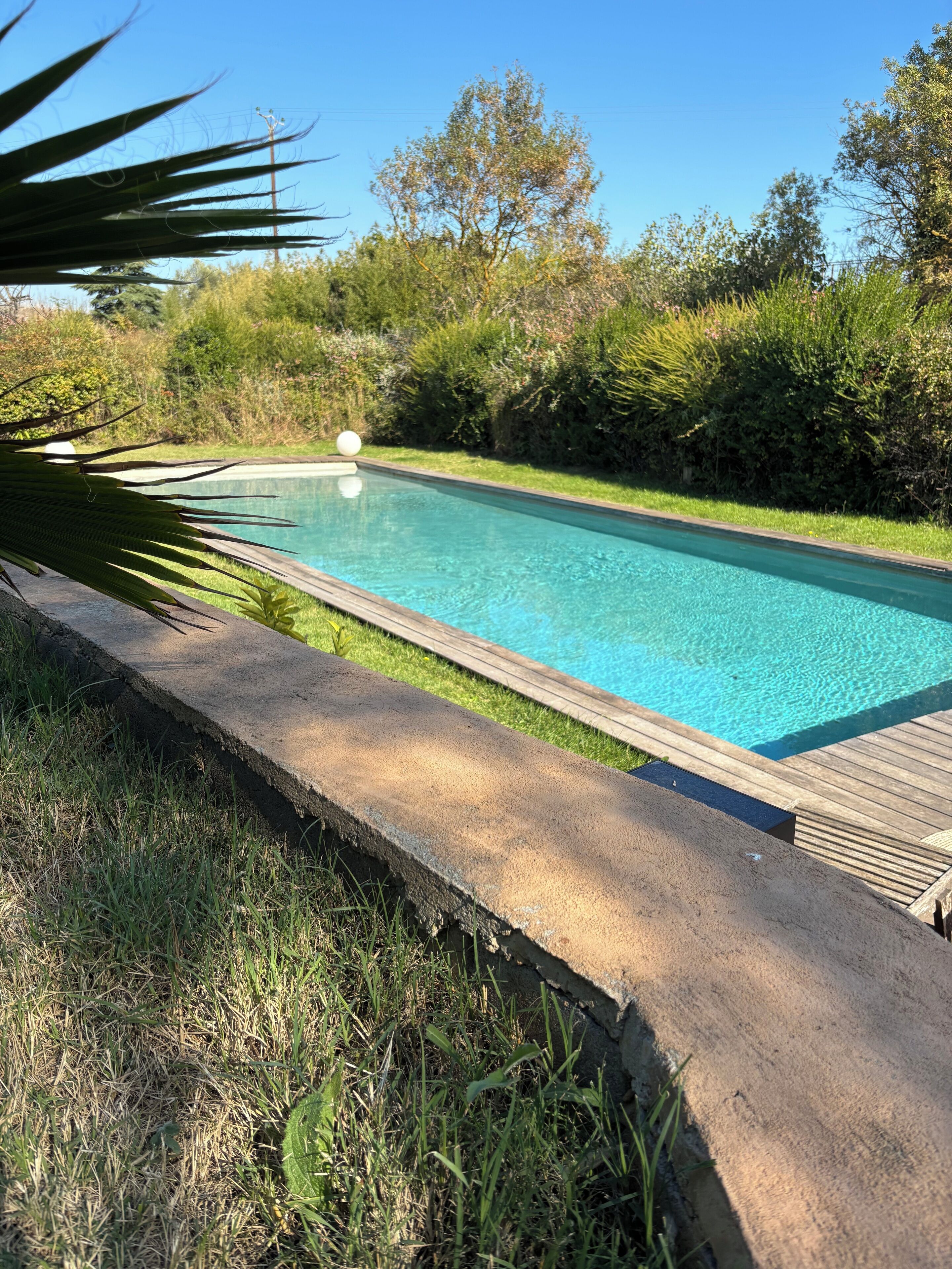 A rectangular swimming pool with a wooden deck and a concrete edge, surrounded by grass and bushes.