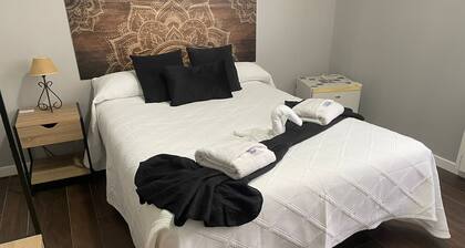 THE DREAM OF QUIXOTE. Double Room CM