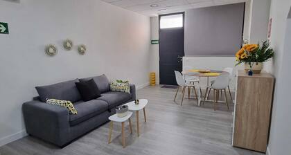 THE INGENIOUS APARTMENT