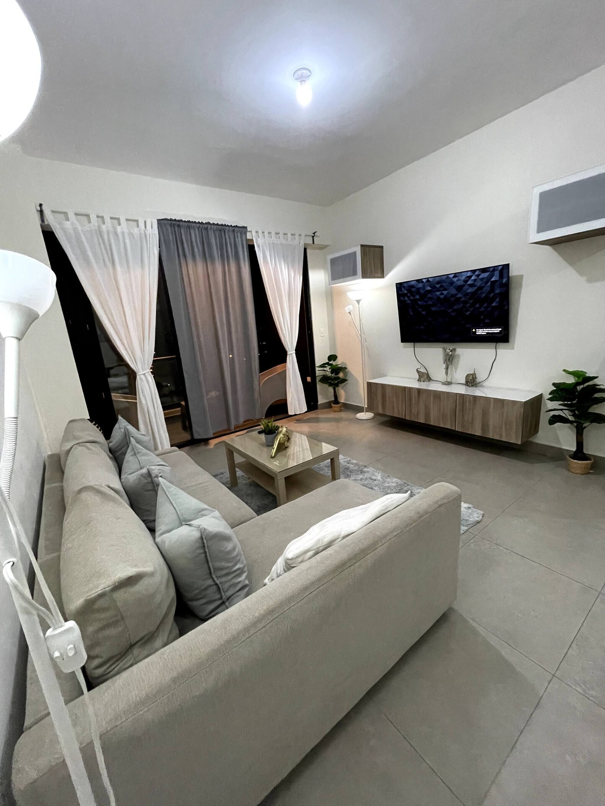 Una sala de estar moderna con un sofá, una mesa de centro, un televisor y una planta.