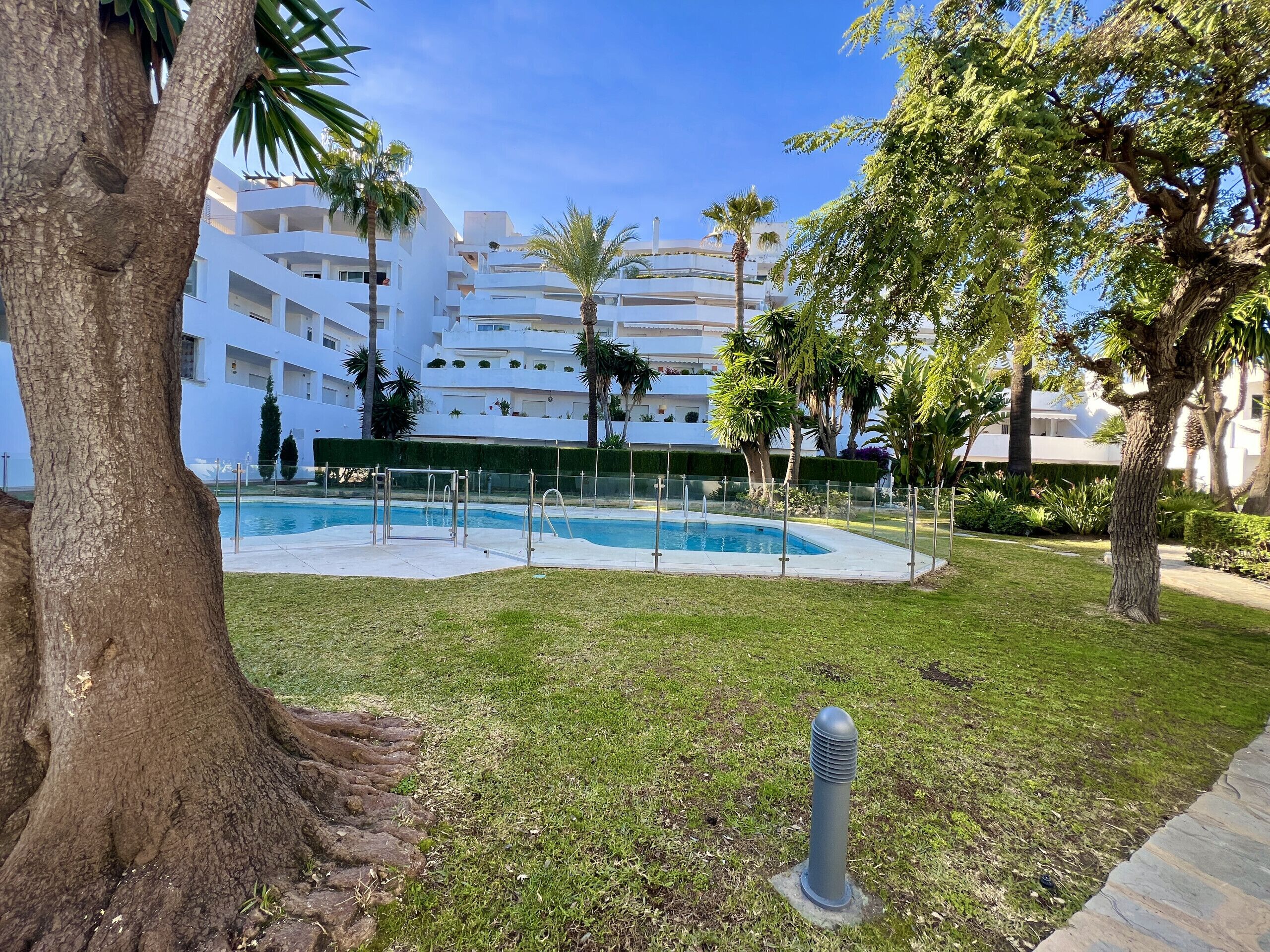 Zona de piscina con vista despejada a un edificio de varios pisos al fondo.
