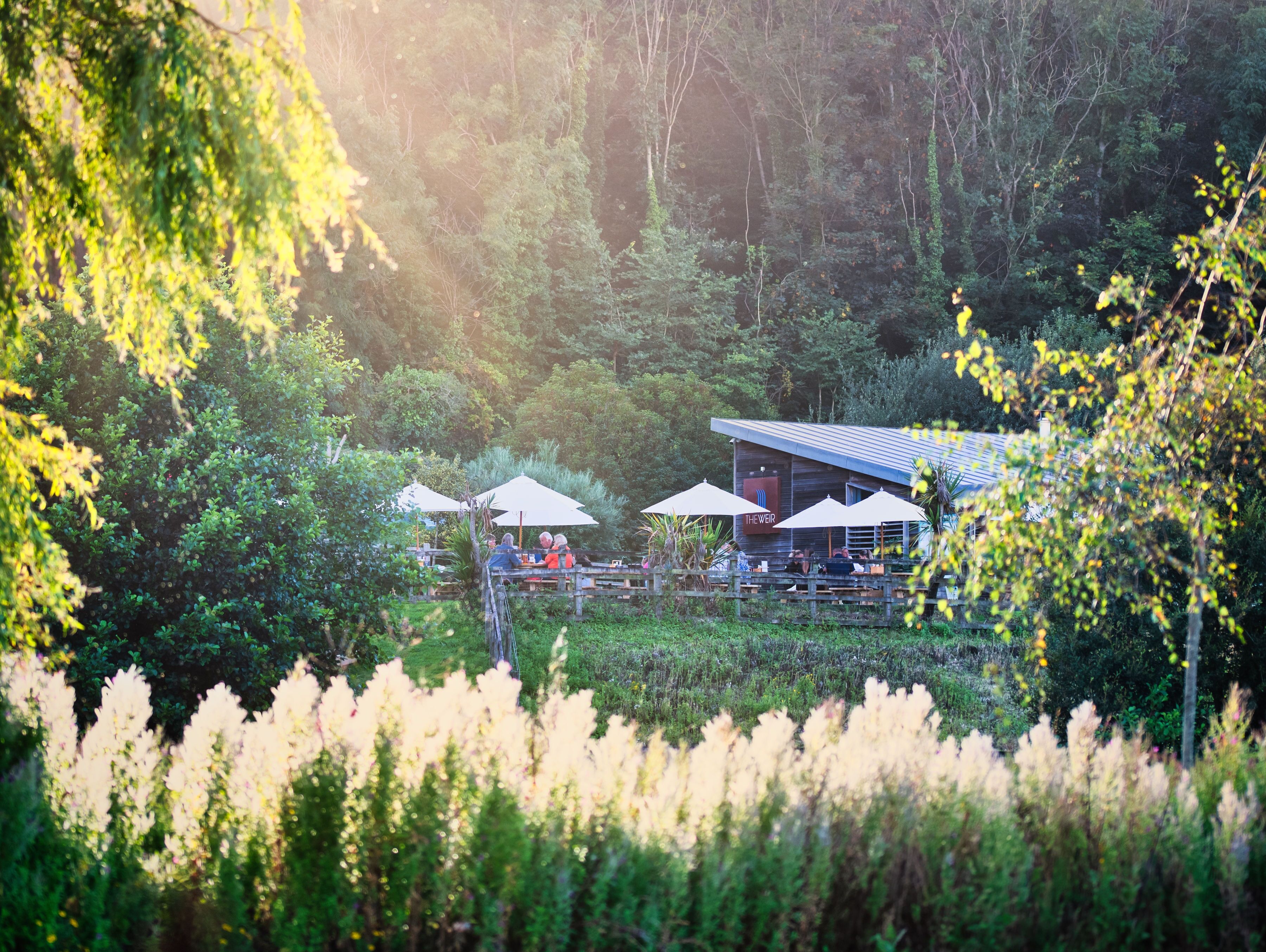 Un restaurante con terraza al aire libre, rodeado de exuberante vegetación y árboles.