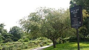 A sign for Back Bay Fens with a pathway leading through a park. - Beautiful 1BR near Fenway Park + Kenmore! (Boston)