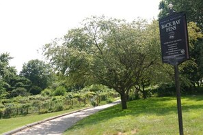 Terrein van de accommodatie