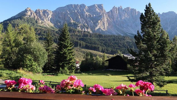 A mountain landscape with a clear sky, a green field, and a wooden fence with pink flowers. - Our small vacation paradise with only 2 apartments is located in the middle of the mountains (Karersee)