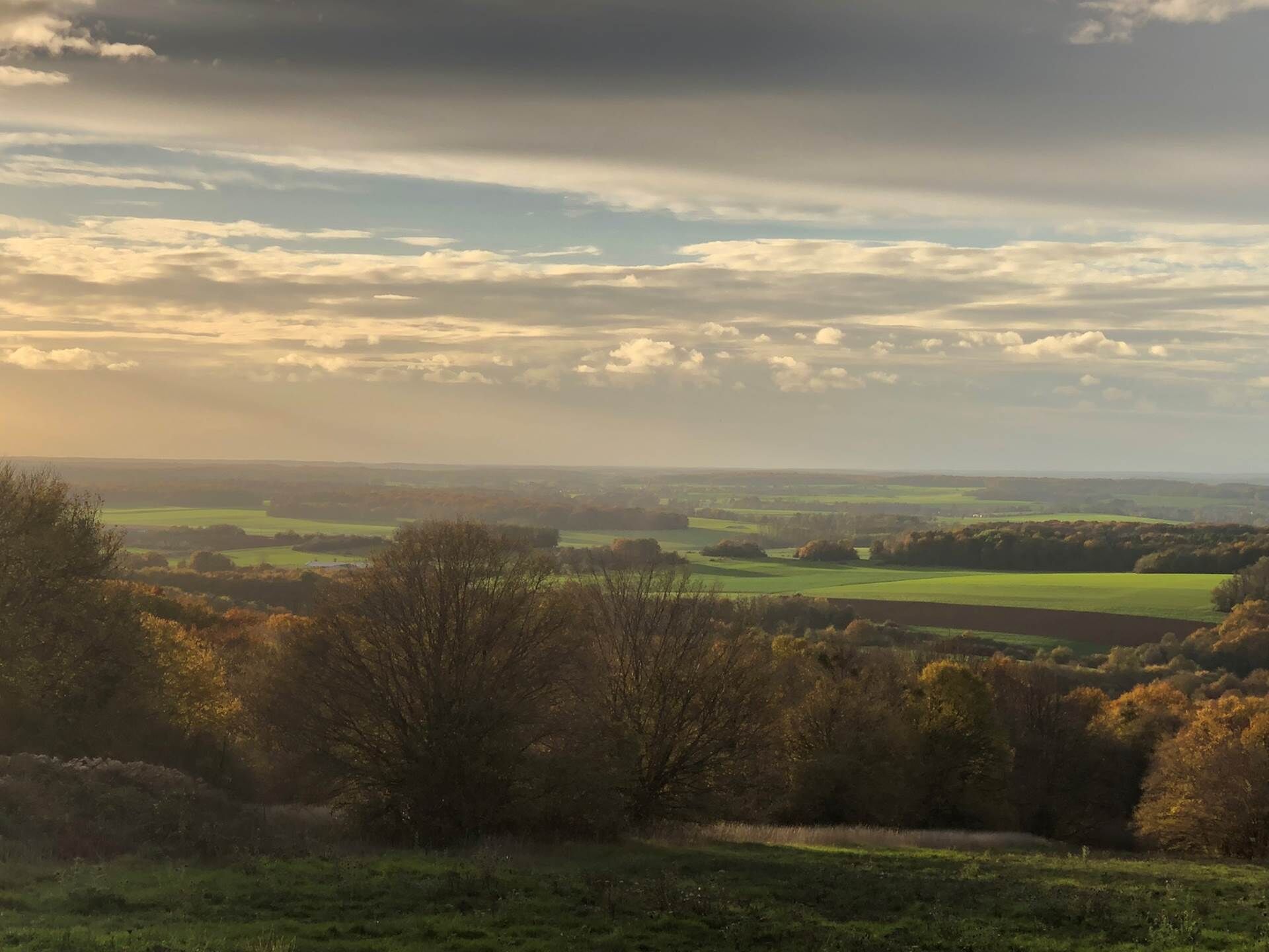 Ein weites Panorama über eine ländliche Landschaft mit sanften Hügeln und vereinzelten Bäumen.