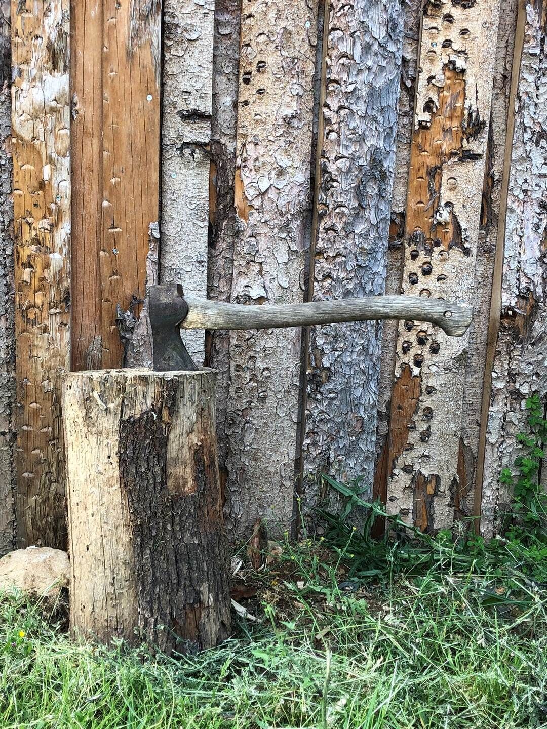 Eine Axt steckt in einem Baumstumpf, dessen Rinde sich ablöst. Gras wächst ringsum.