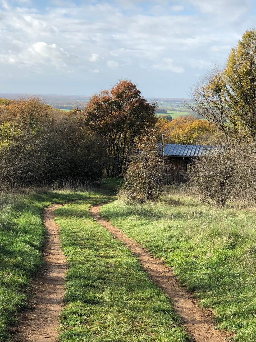Un sentier rural qui mène à une maison entourée d’arbres et bordée de champs ouverts.