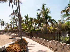 Ein gepflasterter Weg, gesäumt von Palmen und einer Steinmauer, der zu einem Strand führt.