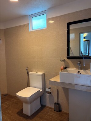 Chuveiro, secador de cabelo, bidê, toalhas de banho