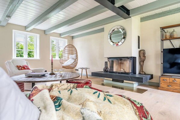 Smart TV, fireplace, books