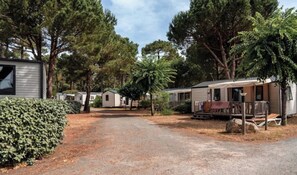 A gravel driveway leading to mobile homes with a wooden fence and a large bush on the left. - ZEcamping 4 étoiles familial piscine chauffée locatif 28m2 (Saint-Trojan-les-Bains)